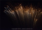 Luzerner Fest 2011